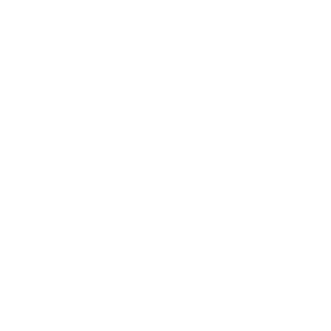 Serial Number Collection icon
