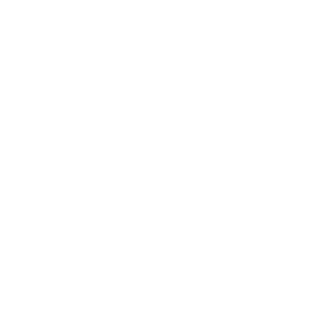 Certificates of Recycling/Destruction Icon