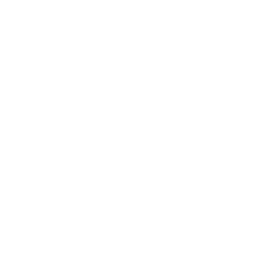 Hard Drive Destruction Icon