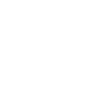 Hard Drive Sanitation Icon